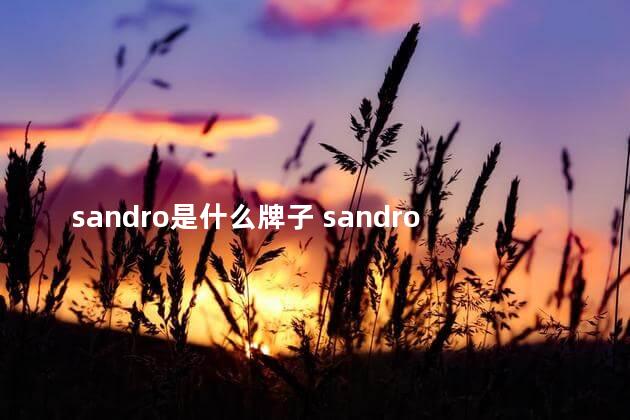 sandro是什么牌子 sandro在国内算什么档次